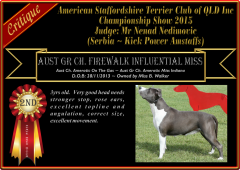 Class 9a ~ 2nd ~ Firewalk Influential Miss.png